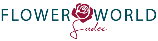 TỔ HỢP ĐÔ THỊ - DU LỊCH FLOWER WORLD SA ĐÉC