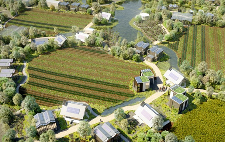 TỔ HỢP ĐÔ THỊ - DU LỊCH FLOWER WORLD SA ĐÉC