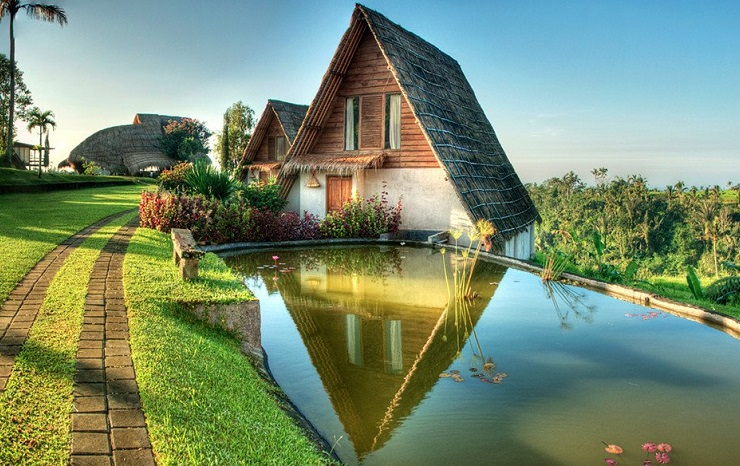 TỔ HỢP ĐÔ THỊ - DU LỊCH FLOWER WORLD SA ĐÉC